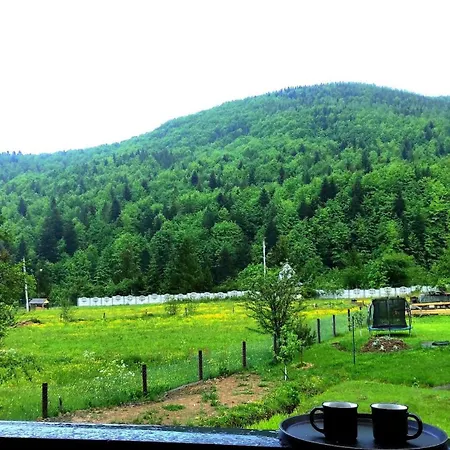 #хвoя Holiday home