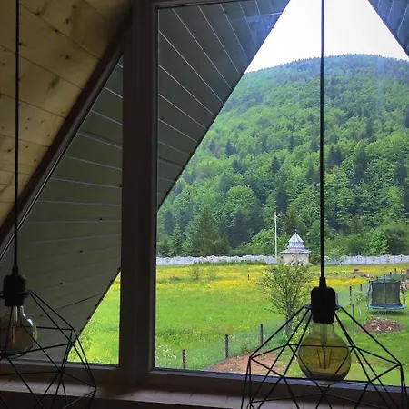 Tatil Evi #хвoя *