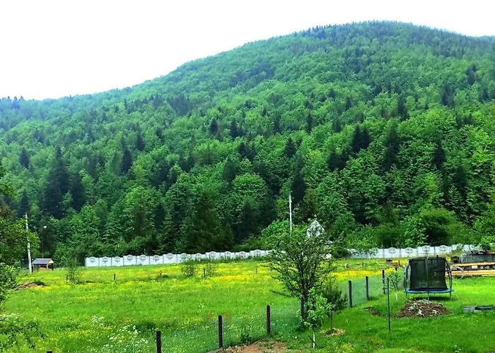 #хвoя Tatil Evi
